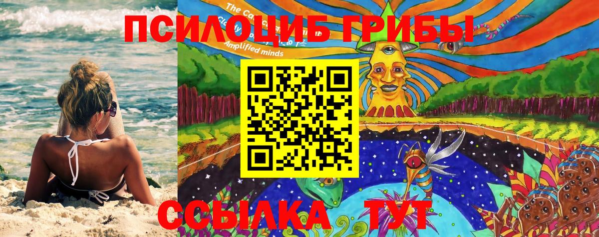 Псилоцибиновые грибы прущие грибы Заволжье