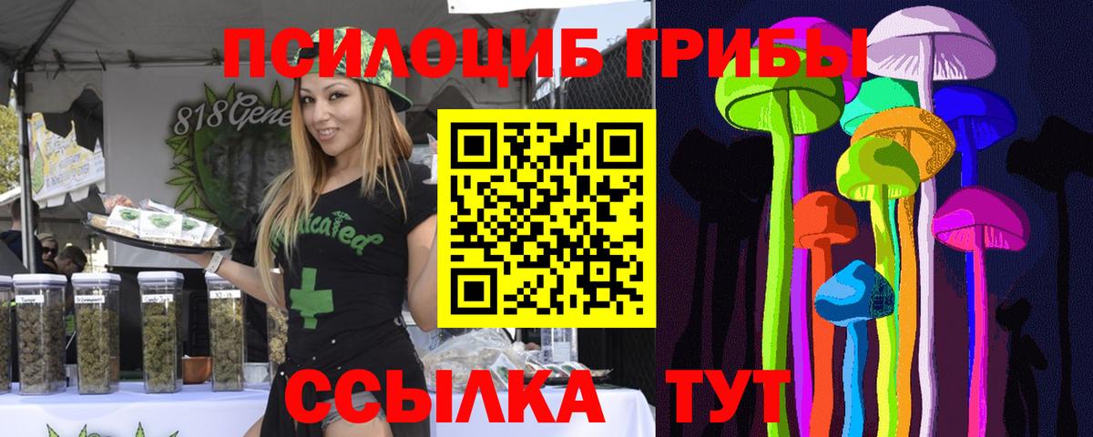 сколько стоит  Вход с VPN  Заволжье  Псилоцибиновые грибы MAGIC MUSHROOMS 