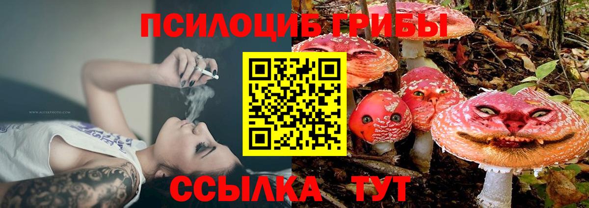 COCAIN  Заволжье  Меф   Гашиш  Вход с VPN  Каннабис  Бошки Шишки  ТГК 